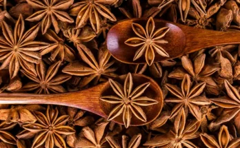 Bunga lawang, rempah yang bentuknya unik seperti bintang.