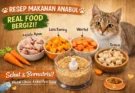 Pemilik Anabul Wajib Tahu Resep Real Food Homemade Tinggi Protein yang Bisa Bikin Kucing Kesayangan Makin Sehat dan Bulu Bebas Rontok!