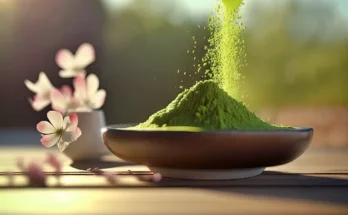 Bubuk matcha dituangkan ke piring tanah liat dan tersorot sinar matahari sehingga memperlihatkan detailnya yang halus.