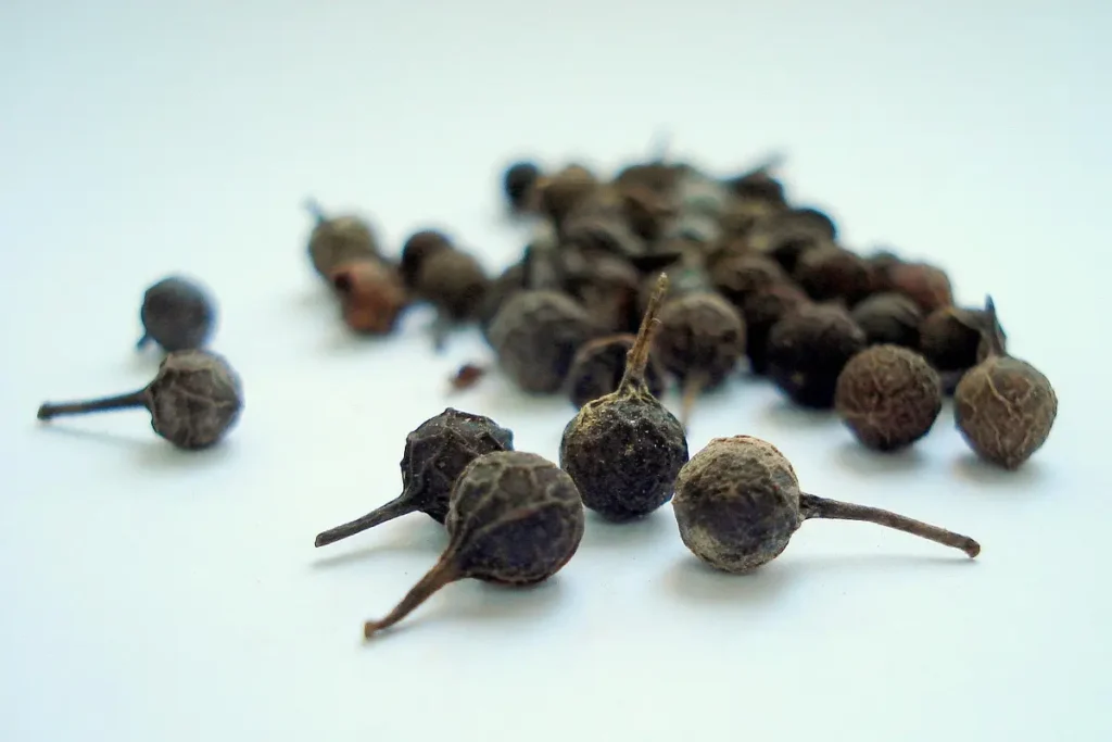 Butiran-butiran rempah kemukus yang menunjukkan ciri khasnya yaitu sisa tangkai yang seperti ekor.